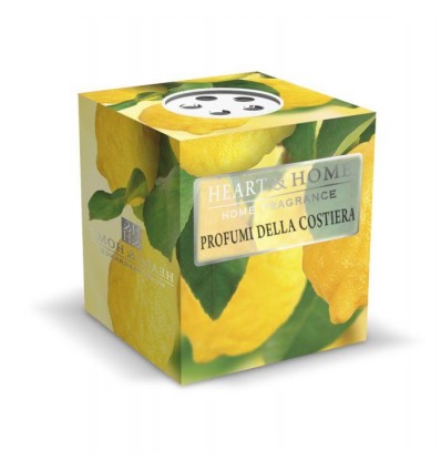 Profumi della Costiera - Candelina 52g