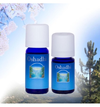 Olio essenziale di Lavanda dalmatin (Lavandin) 10 ml