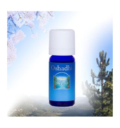 Olio essenziale di Eucalipto globulus BIO 30 ml