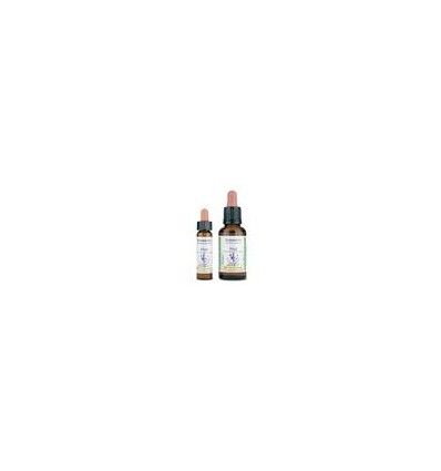 Hornbeam 17, 10 ml