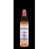 Honeysuckle 16, 10 ml