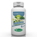 Moringa 90 cps