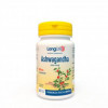 Ashwagandha 500 mg - 60 cps