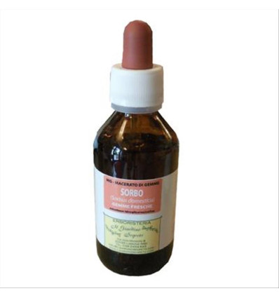 Macerato di Ippocastano 100 ml
