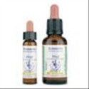 White Chestnut 35 - 10 ml