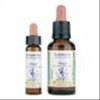 Pine 24, 10 ml