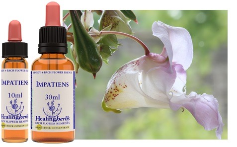 Impatiens - Fiori di Bach